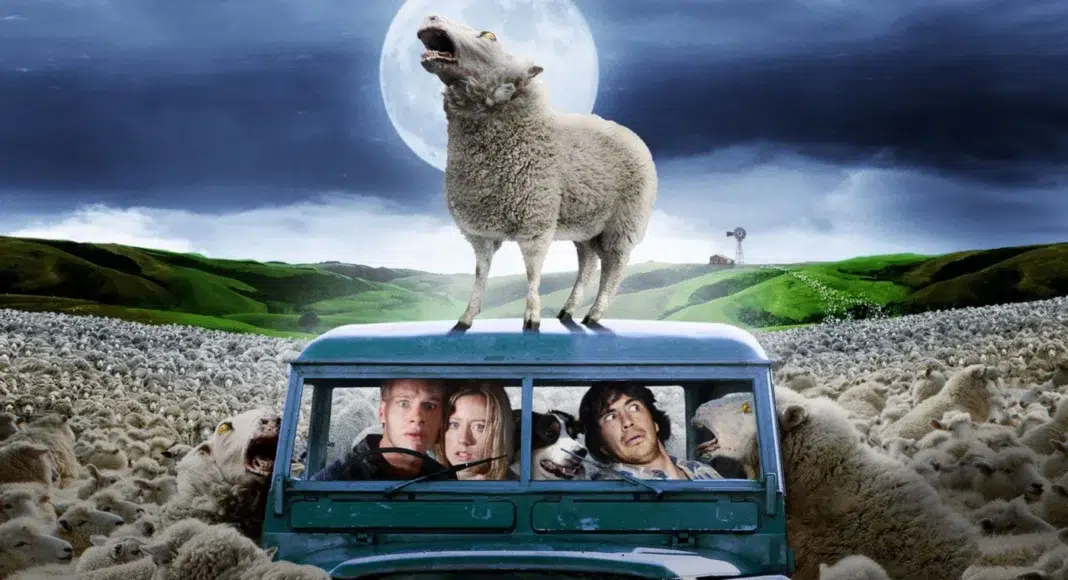 ovelha negra black sheep