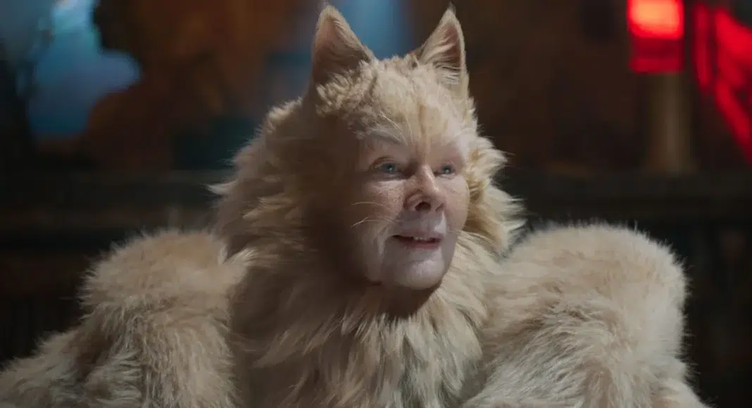 cats