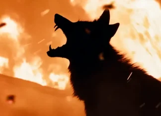 Justin Long enfrenta ‘Coiotes’ assassinos no trailer do TERROR cômico; Confira!